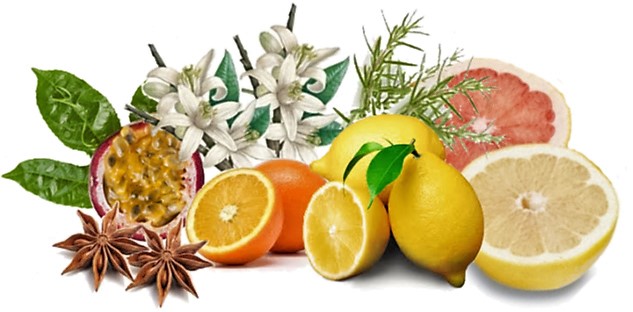 catarratto profilo aromatico